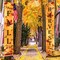 Fall Decoration Harvest Fall Porch Welcome Sign Banner Happy Fall Y'all Maple Autumn Sign Pumpkin Leaf for Fall Party Thanksgiving Party Decoration Maple Garden Yard Orange Leaves Wall Decor Backdrop